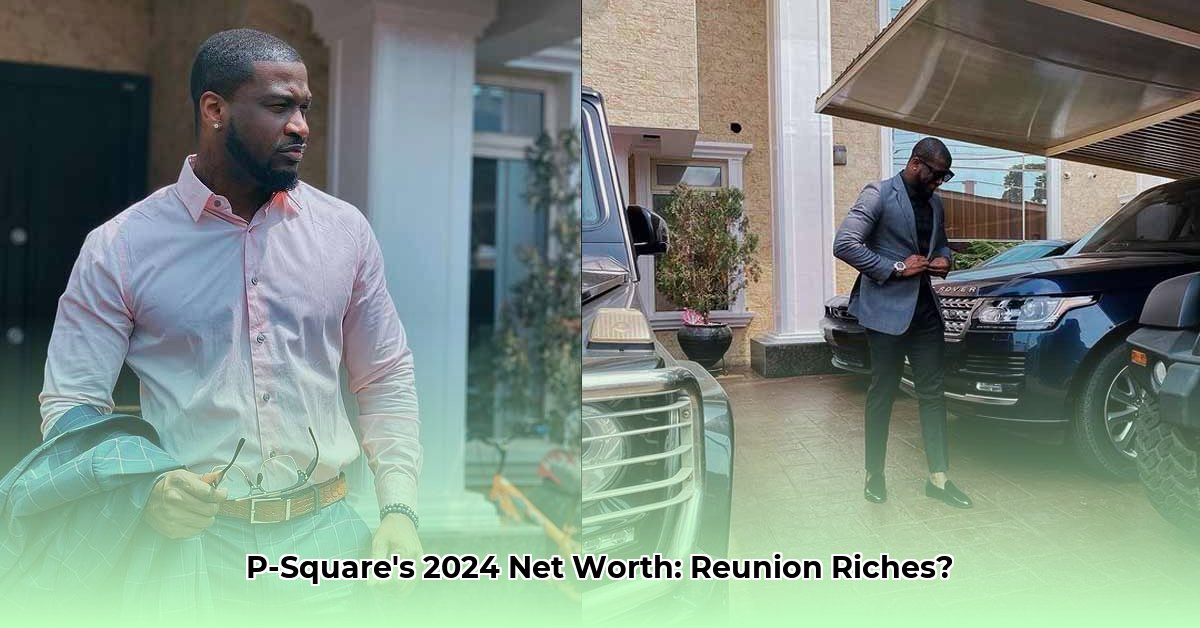 net-worth-p-square